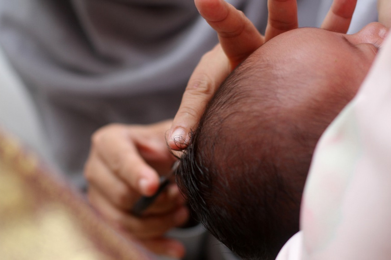 Jasa Aqiqah